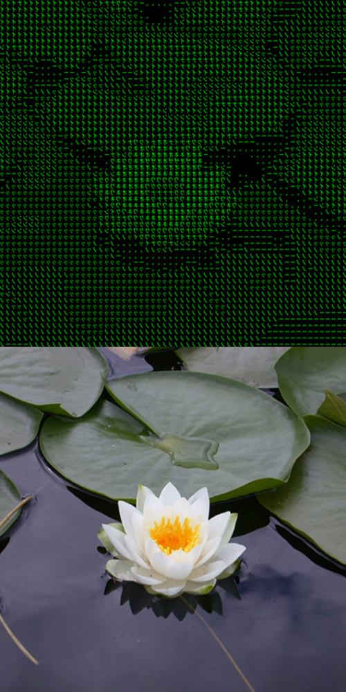 one